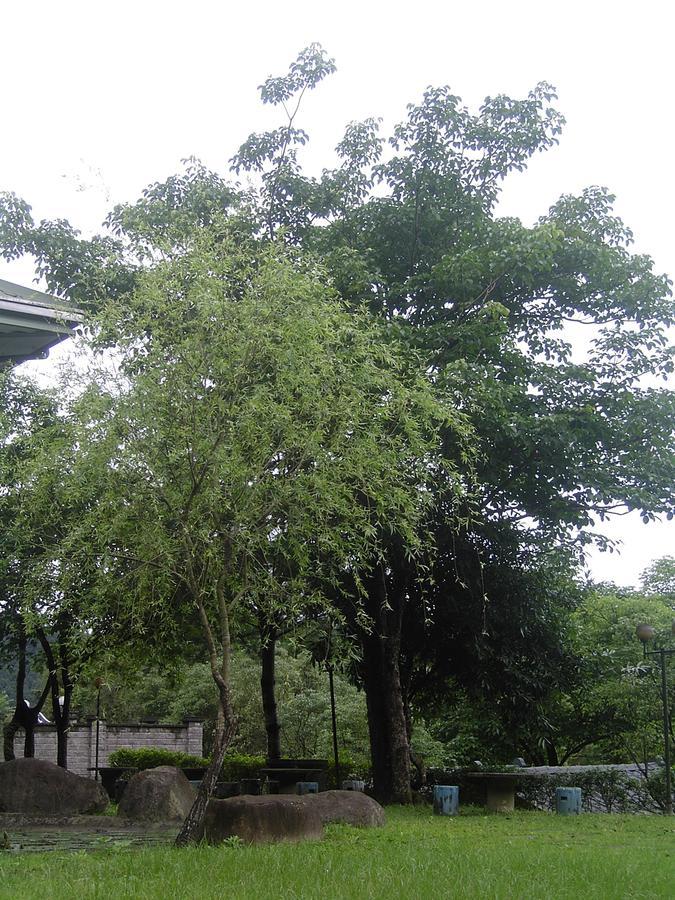 Fumei Bluebird Homestay Nanzhuang Dış mekan fotoğraf