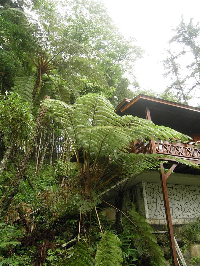 Fumei Bluebird Homestay Nanzhuang Dış mekan fotoğraf