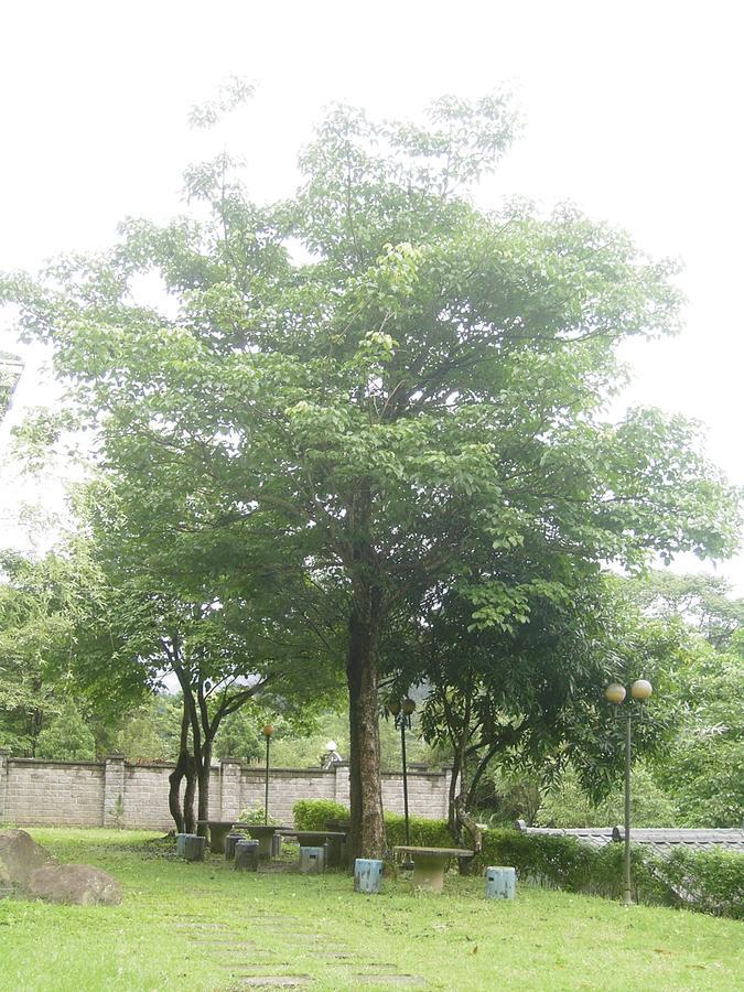 Fumei Bluebird Homestay Nanzhuang Dış mekan fotoğraf